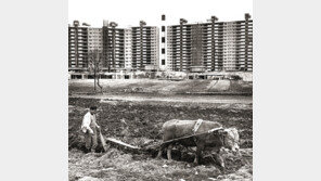 [책의 향기]강남 밖에서 돌아본 ‘서울의 용광로’ 강남