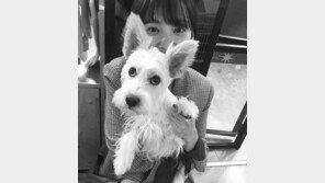 ‘동물농장’ 윤승아 “유기견 임시보호 활동 중”…반려견 관련 책까지 출판