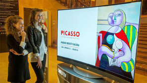 실물처럼 생생… LG전자 올레드 TV로 보는 피카소展 