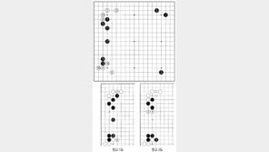 [바둑]제49기 아마국수전… 알파고