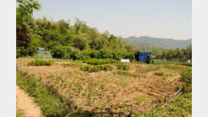 [스마트 컨슈머]“그린벨트가 풀린다” 하남 부동산 시장 두둥실