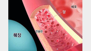 [스마트 컨슈머]상일제약, ‘적송당’으로 건강한 혈당 유지 