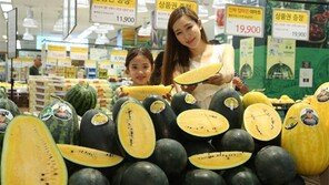 “망고 수박 맛보세요”