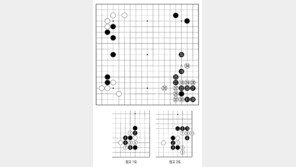 [바둑]제49기 아마국수전… 꼬리 자르기