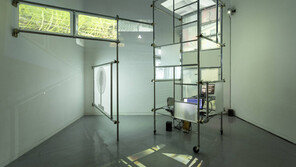 미술관에서 보는 짤막한 동영상 예술