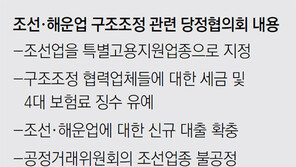 “조선 협력업체 세금-4대 보험료 징수 유예”