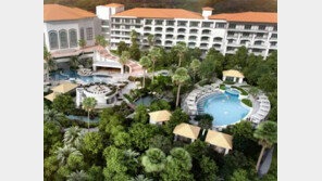 [Q매거진]올여름, 호텔 ‘성인 전용 수영장’서 달콤한 휴식 즐겨볼까 