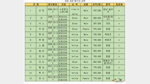세관 탐지견 13마리 "새주인 찾아요"