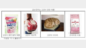 일본, ‘네코노믹스’가 뜬다