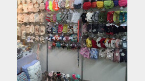 일본 바이어, “한국 반려동물 제품 우수”