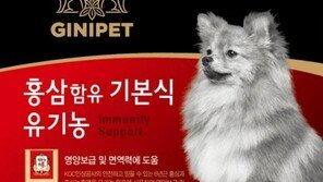 홍삼사료 지니펫, '먹이면 부티난다' 인기