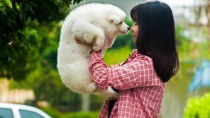 “반려견은 화난 주인을 믿지 않는다!”