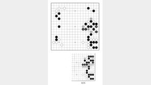 [바둑]제49기 아마국수전… 고군분투(孤軍奮鬪)