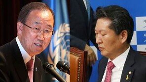 정청래 “반기문, 해볼만한 후보…청와대 집중 지원, 감표 요인”