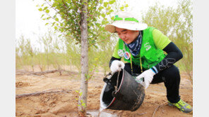미래숲,  ‘지구살리기 사막워크캠프’ 中 쿠부치 사막서 개최