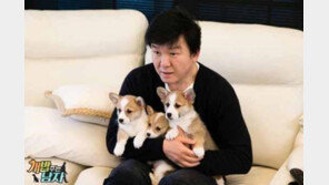 29일 SK와이번스 도그데이 시구는..