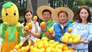 “참외 3kg 만원에 팝니다”