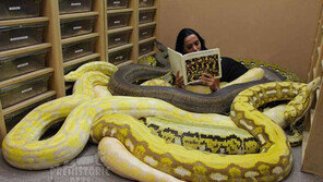 아주 특별하고 거대한 애완 동물들