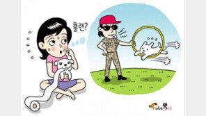 반려견 훈련, 훈련소만 정답일까?