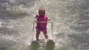 걸음마도 못 뗀 생후 6개월 아기, 최연소 수상스키 신기록 