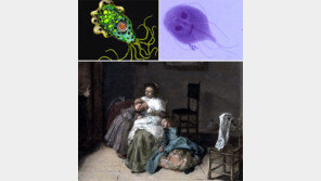 [책의 향기]‘극혐’ 기생충? 알고보면 매력적인 지구 생명체