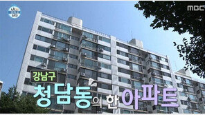 [스타부동산] ‘청담동 노총각’ 김영철 집은?