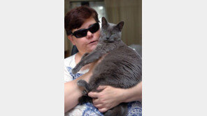 영국의 오직 하나뿐인 안내고양이..‘주인 발작도 예견’