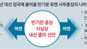 [반기문 방한일정 마무리]與 불임 탈출? 野 선수 교체?