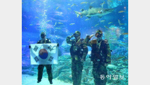 수중에서 태극기 거수경례