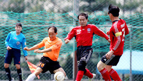 [스포츠 7330] 한국 축구, 선진국형 디비전 시스템 도입