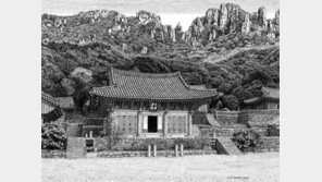 날카로움이 빚은 세밀한 아름다움