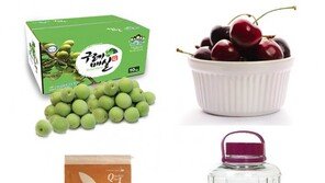 ‘담금주’ 관련 상품 판매↑…불황 여파?