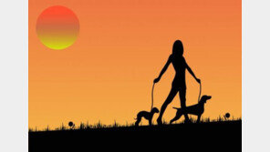 서울시, ‘펫시터’ 등 직업교육 운영