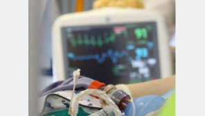 건강보험 ‘의료수가’ 평균 2.37% 인상…내년 건보료 오를듯