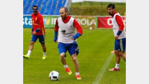 한국 - 스페인 전, 이니에스타·피케·파브레가스 등 ★ 총 출동 