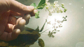 [Culture diary] 1년만에 돌아온 빌리어코스티 감성 무대