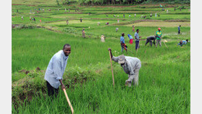 “잘살아보자” 100여개국 ‘새마을 인연’… 지구촌 빈곤퇴치 이끈다