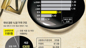 경유값 인상 논란? 국민 75% “정부 대책 불만”…與野도 “반대”