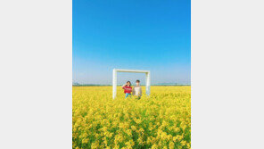 ‘유희열의 스케치북’ 새 코너 고정 악동뮤지션, 다정한 근황 사진 공개 “꽃길만”