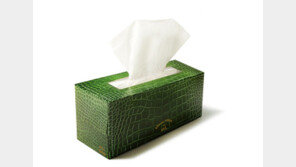 ‘진저백’ 콜라보 SYL 프리미엄 티슈, 홈 스타일링 아이템으로 ‘주목’