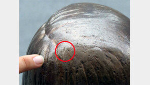 [뉴스파일]‘소녀상 망치테러’ 조현병 전력 30대女 체포