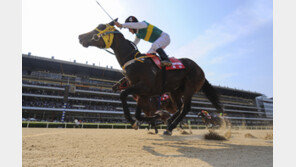 [경마] “일본은 없다” 한일전 한국이 1~3위 휩쓸다