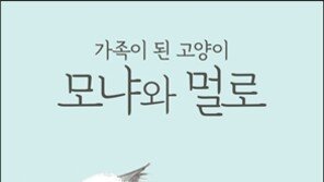 가족이 된 고양이 모냐와 멀로