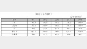 장수국가 불가리아, ‘고양이가 대세’