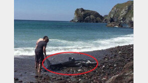 해변에 밀려온 돌고래인 줄 알고 구하다…정체 알고 ‘화들짝’ 