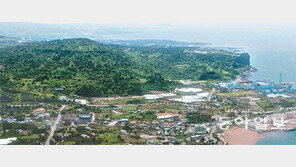 듬성듬성 이 빠진 듯… 소나무 숲은 푸른빛 되찾아