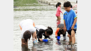 신나는 다슬기 잡기