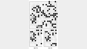 [바둑]제49기 아마국수전… 분투(奮鬪)