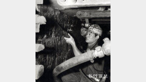 “1960∼70년대 광부-간호사 서독 취업은 개발원조 아닌 외국인 노동력 필요 때문”