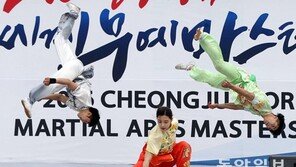 도심서 펼쳐진 무예 향연 